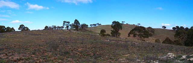 View to the South West